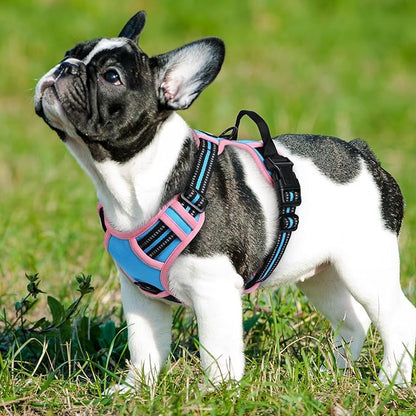 Eagloo Dog Harness for Large Dogs, No Pull Service Vest with Reflective Strips and Control Handle, Adjustable and Comfortable for Easy Walking, No Choke Harness with 2 Metal Rings, Pink & Blue, S GoExplorewithEagloo