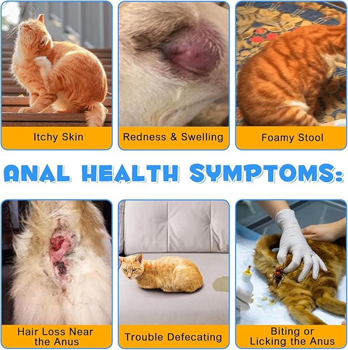 Anal Gland Support Powder for Cats, Anal Gland Supplement Powder with Pumpkin and Probiotics Supports Cats Anal Gland Health, Pet Supplement Anal Gland Support Powder Treatment for Cats - 120g PAWPICO