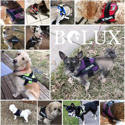 Bolux Dog Harness, No-Pull Reflective Dog Vest, Breathable Adjustable Pet Harness with Handle for Outdoor Walking - No More Pulling, Tugging or Choking (Army Yellow, M) Bolux