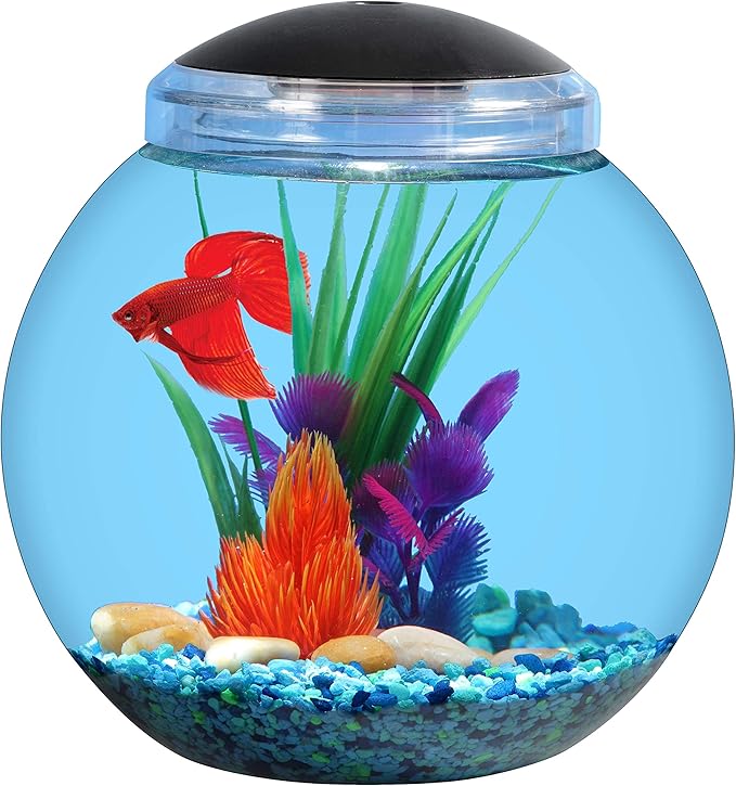 Koller Products 2-Gallon Fish Bowl, Impact- Resistant Plastic Betta Fish Tank with LED Lighting (7 Color Selections), Buit-in Timer, Crystal-Clear Clarity, Desktop Aquarium Tank for Home Décor DISCOVERTHEEXCITINGWORLDOFKEEPINGTROPICALFISH