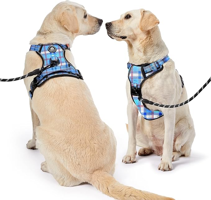 NESTROAD No Pull Dog Harness with Leash, Reflective No Choke Pet Vest Harness,Adjustable Soft Padded Dog Harness with Easy Control Handle for Large Dogs(Checkered Blue,X-Large) NESTROAD