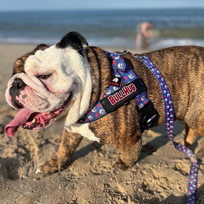 BULLHUG Harness – Made for Larger Chested Dogs Like English Bulldogs, French Bulldogs, Pugs & More. Stops Dogs from Pulling & Choking on Walks (Tiff-Blue, XL) BULLHUG