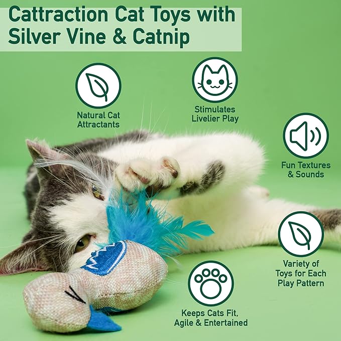 Cattraction with Silver Vine & Catnip Cat Toy Variety Pack, 20 Count - PAWPICO