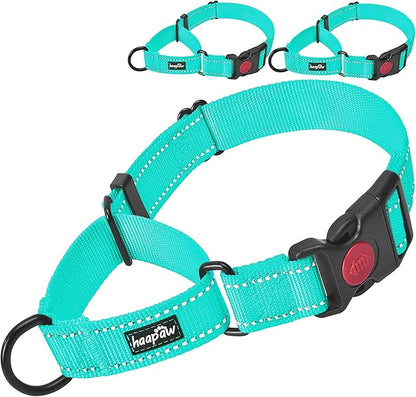 haapaw 2 Packs Martingale Dog Collar with Quick Release Buckle Reflective Dog Training Collars for Small Medium Large Dogs haapaw