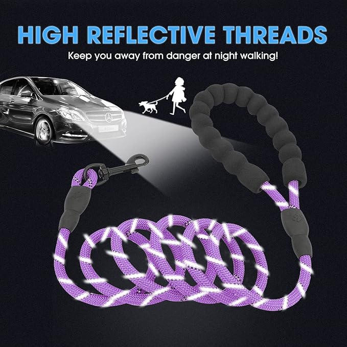 BAAPET 2/4/5/6 FT Dog Leash with Comfortable Padded Handle and Highly Reflective Threads for Small Medium and Large Dogs (5FT-1/3'', Purple) BAAPET