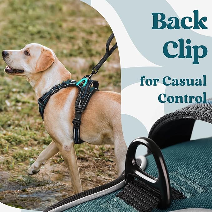 rabbitgoo Dog Harness Medium Sized, No Pull Pet Harness with 3 Buckles, Adjustable Soft Padded Pooch Vest with Instant Control Handle, Easy Walking Reflective Pet Vest for Medium Dogs, Blue Coral, M - PAWPICO
