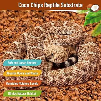 Riare 6 Pack Natural Coconut Chip Substrate for Reptiles- Compressed Coconut Husk Reptiles Bedding, Coco Husk Chip Terrarium Substrate for Snakes, Tortoises, Ball Python, Frogs, Bearded Dragon, Lizard Riare