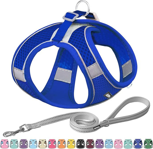 AIITLE Small Harness for Puppy with A Leash - Spring Dog Vest Harness with Super Breathable Mesh, Reflective No-Pull Pet Harness for Outdoor Walking, Camping for Small Dogs, Cats Royal Blue XXS AIITLE-FORPETSBETTERLIFE