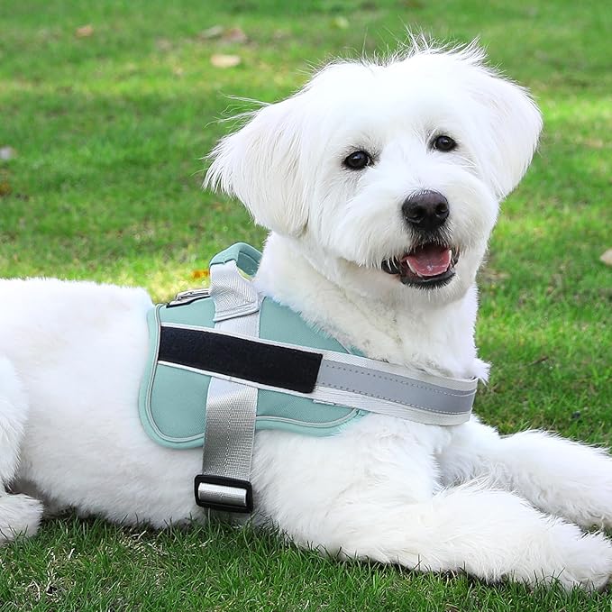 Bolux Dog Harness, No-Pull Reflective Dog Vest, Breathable Adjustable Pet Harness with Handle for Outdoor Walking - No More Pulling, Tugging or Choking Bolux