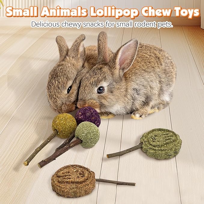 Fhiny Rabbit Chew Toys, 15 PCS Natural Bunny Lollipop Chew Sticks Handmade Guinea Pig Molar Treats for Teeth Small Animals Snacks for Guinea Pig Bunny Chinchilla Hamster Gerbil Teeth Care Fhiny