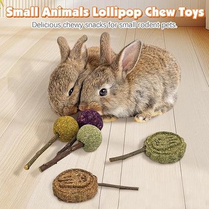 Fhiny Rabbit Chew Toys, 15 PCS Natural Bunny Lollipop Chew Sticks Handmade Guinea Pig Molar Treats for Teeth Small Animals Snacks for Guinea Pig Bunny Chinchilla Hamster Gerbil Teeth Care Fhiny