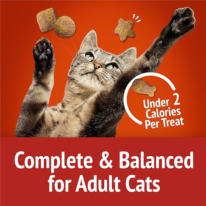 Purina Friskies Cat Treats, Party Mix Gravy-licious Crunch Chicken and Gravy Flavors - 20 oz. Pouch PurinaTreats