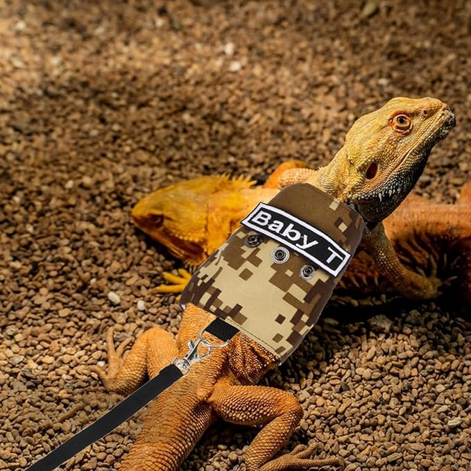 Hypeety Bearded Dragon Harness and Leash Set Adjustable Escape Proof Lizard Leash 4 Pack Outdoor Walking Training Leash and Harness for Bearded Dragon Lizard Reptiles (Coffee Color) Hypeety