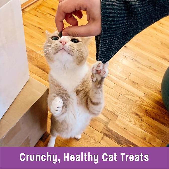 Wellness Kittles Natural Grain Free Cat Treats, Salmon & Cranberries, 6-Ounce Bag WellnessNaturalPetFood