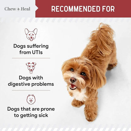 Chew + Heal UTI Treatment Cranberry Chews for Dogs - 240 Soft Chews - Supports Healthy Urinary Tract and Bladder Function - Corrects Imbalances - with Echinacea and Vitamin C ChewHeal
