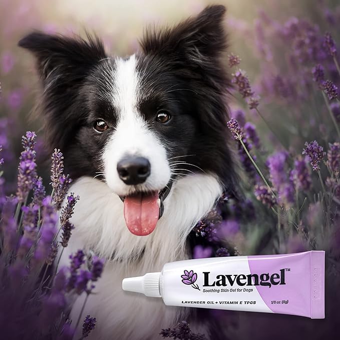 for Dogs - Reduces Skin Irritations and Itching - Effective Wound Care and Hot Spot Treatment Lavengel