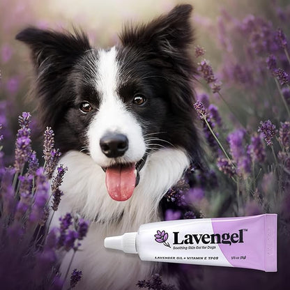 for Dogs - Reduces Skin Irritations and Itching - Effective Wound Care and Hot Spot Treatment Lavengel