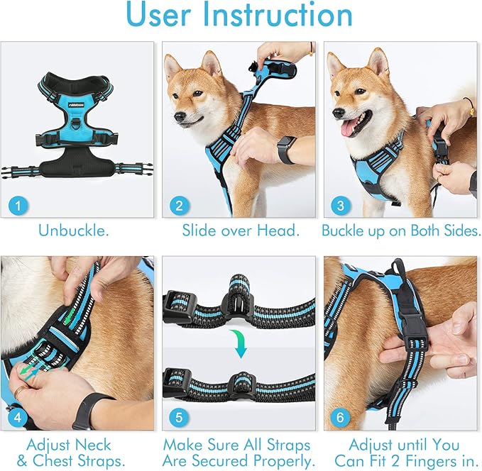 rabbitgoo Dog Harness, No-Pull Pet Harness with 2 Leash Clips, Adjustable Soft Padded Dog Vest, Reflective No-Choke Pet Oxford Vest with Easy Control Handle for Small Dogs, Blue, S - PAWPICO