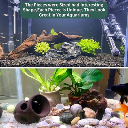 Hamiledyi Driftwood for Aquarium Reptile Toy Driftwood Branches Reptiles Aquarium Decoration Assorted Size Natural Habitat Decor Wood for Lizad-1 Pack Hamiledyi