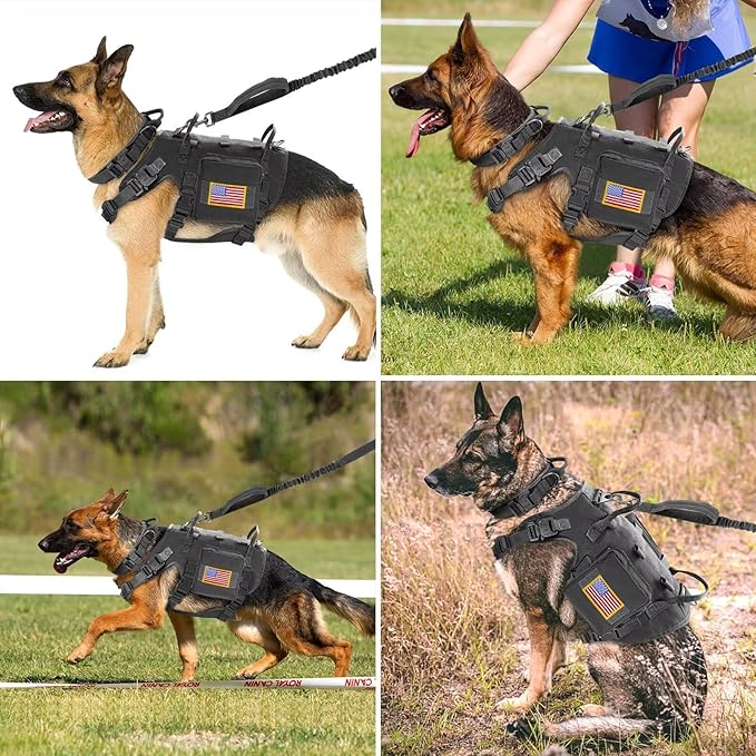 Forestpaw Tactical Dog Harness for Large Dogs,Tactical Dog Collar with Bungee Leash Set,No Pull Military Dog Harness for Dog Walking Training,Adjustable for Medium Large Dogs,Black S Forestpaw
