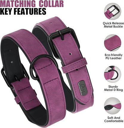 Didog Soft Padded Leather Dog Collar and Leash Set, Heavy Duty Dog Leash and Collar Set with Metal Buckle, Breathable Dog Collars with 4FT Leather Dog Leash for Small Medium Large Dogs, Purple, S Didog