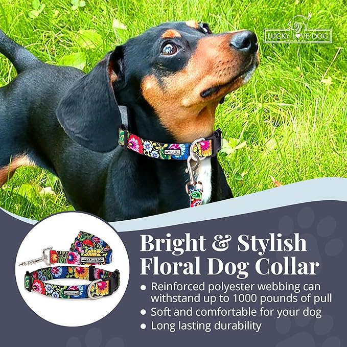 Lucky Love Dog - Easy Click Buckle Dog Collar with Leash Set Combo, Durable & Comfortable Collar for Male & Female Dogs, Pet Collar for Small to Large Dogs, Secure Fit - Blackbird Combo, X-Small LuckyLoveDog