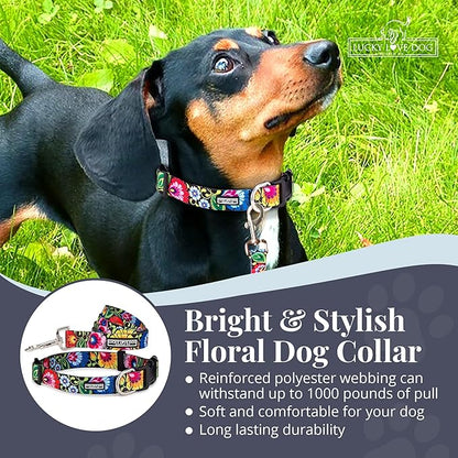 Lucky Love Dog - Easy Click Buckle Dog Collar with Leash Set Combo, Durable & Comfortable Collar for Male & Female Dogs, Pet Collar for Small to Large Dogs, Secure Fit - Blackbird Combo, X-Small LuckyLoveDog