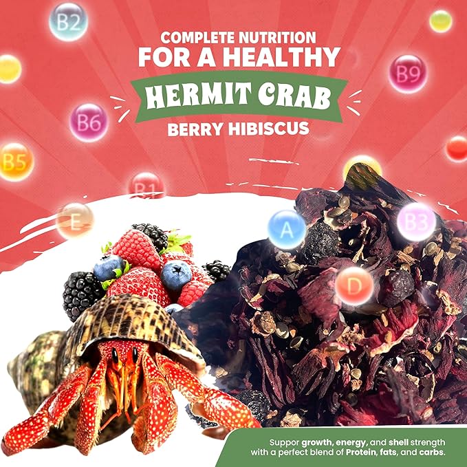 Snout and Shell Berry Hibiscus Hermit Crab Food - Colorful Blend Diet of Hibiscus Flowers, Blueberries, Hemp Seed, Coconut Chips & White Birch Bark - Aquatic Pet Animal Snack Treat | 25g, Multi SNOUTANDSHELL