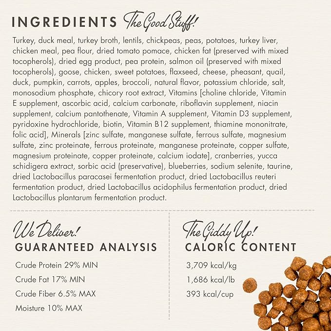 Fromm Four-Star Nutritionals Game Bird Dog Food - Premium Dry Dog Food - Turkey Recipe - 26 lb - PAWPICO