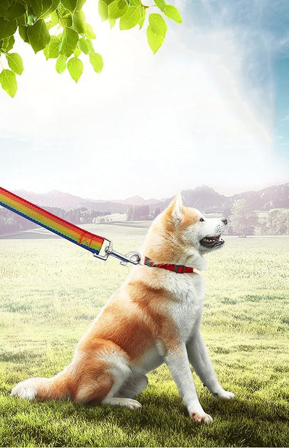 15ft 20ft 30ft 40ft 50ft Long Dog/Puppy Lead Obedience Recall Training Dog Leashes for Small Medium Dogs Camping, Training, Play, or Backyard (20 FT, Rainbow) PETGOGO