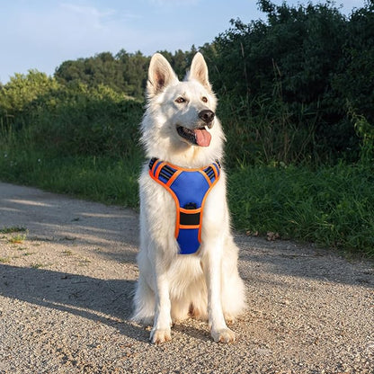 Eagloo Dog Harness for Large Dogs, No Pull Service Vest with Reflective Strips and Control Handle, Adjustable and Comfortable for Easy Walking, No Choke Harness with 2 Metal Rings, Blue & Orange, XL GoExplorewithEagloo