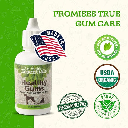 Animal Essentials Healthy Gums for Dogs & Cats - Dental Care, Mouth & Gum Support, Dental Drops, All Natural Pet Supplement, Oral Care - 1 Fl Oz AnimalEssentials