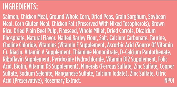 Rachael Ray Nutrish Salmon Dry Dog Food, 26 Pound Bag - PAWPICO