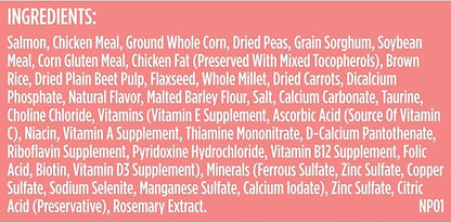 Rachael Ray Nutrish Salmon Dry Dog Food, 26 Pound Bag - PAWPICO