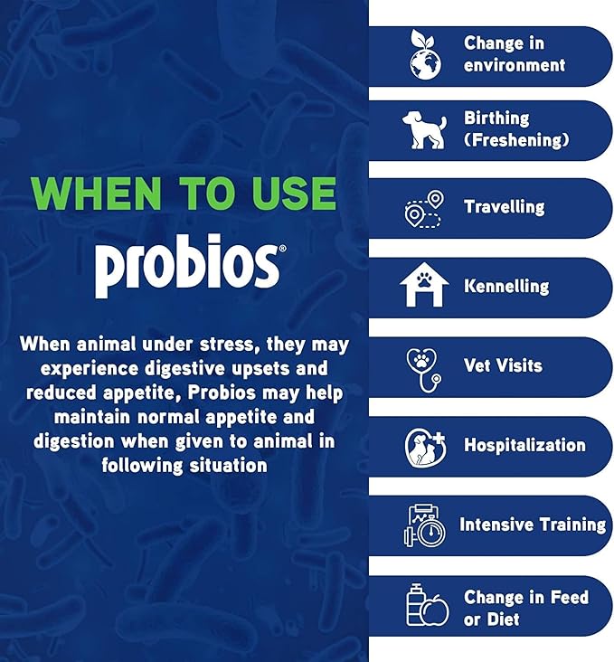 Probios Dispersable Powder - Probios Powder, Pet Probiotic, Probiotics for Swine, Equine, Sheep, Goat, Dog, Cat, Bird, Rabbit, Foals (240 gm) Probios