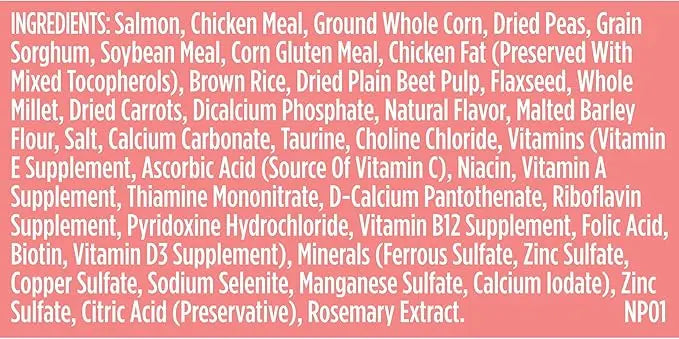 Nutrish Rachael Ray Real Salmon, Veggies & Brown Rice Recipe Dry Dog Food, 13 lb. Bag - PAWPICO