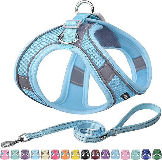 AIITLE Small Harness for Puppy with A Leash - Spring Dog Vest Harness with Super Breathable Mesh, Reflective No-Pull Pet Harness for Outdoor Walking, Camping for Small Dogs, Cats Pure Blue XXS AIITLE-FORPETSBETTERLIFE