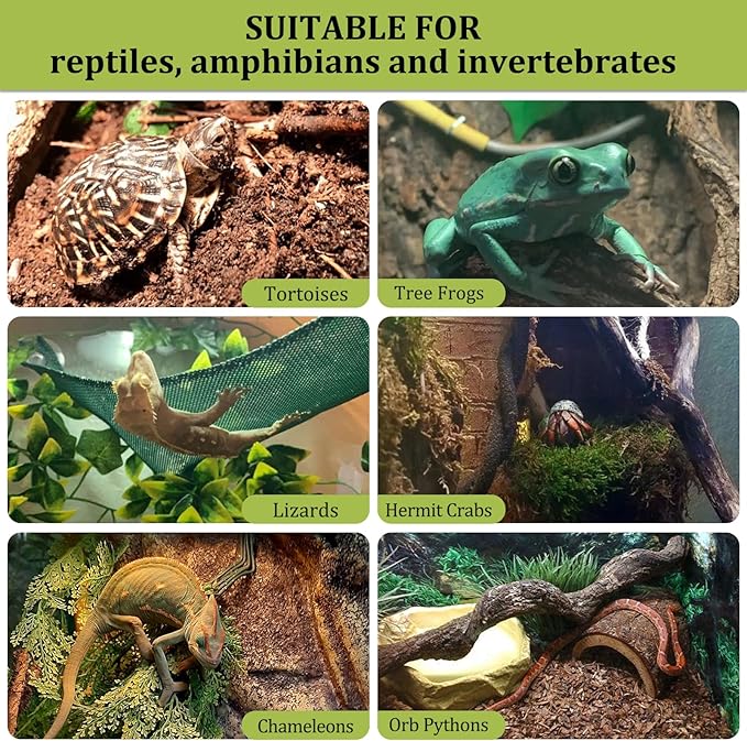 Riare 6LBS Expanded Clay Balls Terrarium Substrate for Reptiles - 100% Organic Lightweight Clay Pebbles Substrate Frogs False Bottom Substrate, Bioactive Terrarium Substrate for Drainage and Moisture Riare
