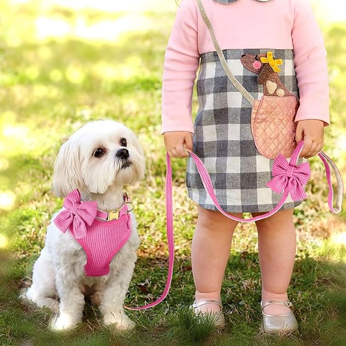 Didog Cute Small Dog Harness Collar & Leash Set, Adjustable Dog Collars and Leashes with Bowtie, Breathable Soft Mesh Padded Dog Vest for Puppies Small Dogs & Cats Walking, Hot Pink, S Didog