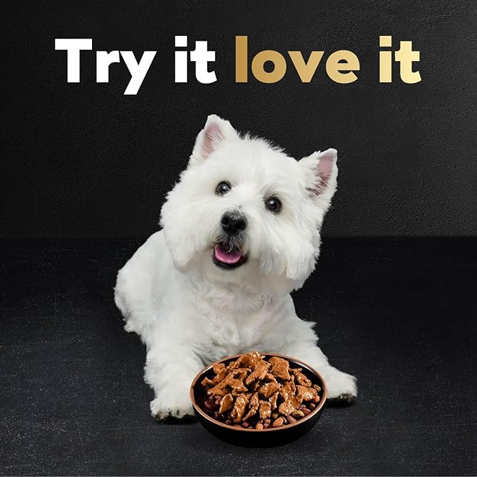 Cesar Filets in Gravy Wet Dog Food Filet Mignon Flavor and Rotisserie Chicken Flavor Variety Pack, 1.76 oz. Mini-Pouches, 20 Pack (Pack of 2) - PAWPICO