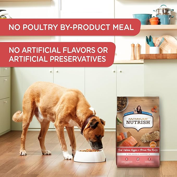 Rachael Ray Nutrish Salmon Dry Dog Food, 26 Pound Bag - PAWPICO