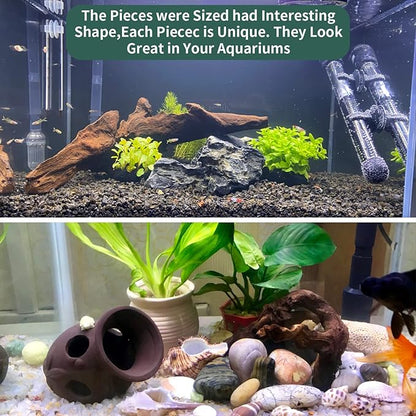 Hamiledyi 2 Pcs Large Driftwood for Aquarium Reptile Toy Driftwood Branches Reptiles Aquarium Decoration Assorted Size Natural Habitat Decor Wood for Lizad Hamiledyi