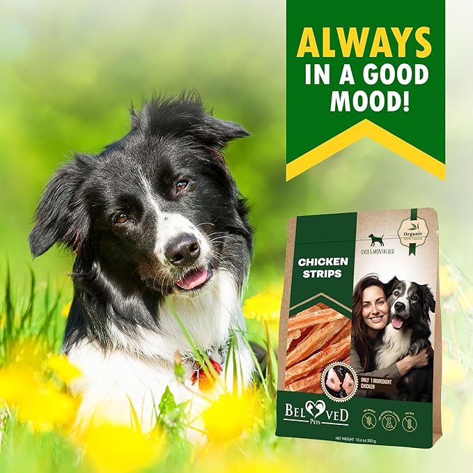 Beloved Pets Chicken Jerky Strips Dog Treats - Human Grade Meat Sticks - Natural Pet Dried Snacks Rawhide - Free - Long Lasting Chews for Large & Small Dogs - Best for Training & Healthy Teeth - PAWPICO