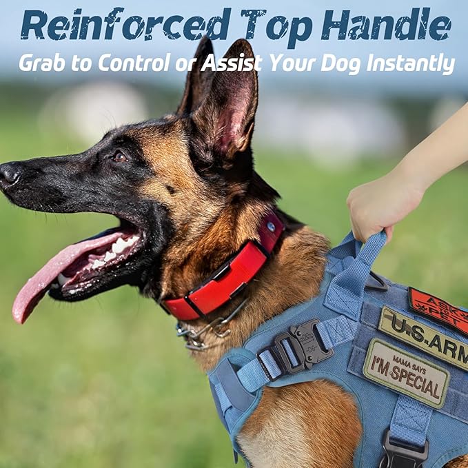 rabbitgoo Tactical Dog Harness for Large, Heavy Duty Pet Harness with Handle, No-Pull Service Vest Large Breed, Adjustable Military Dog Vest for Training Hunting Walking, Blue, XL rabbitgoo