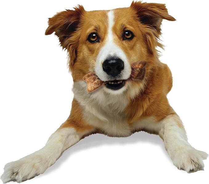 Nylabone Healthy Edibles WILD Natural Long-Lasting Bison Flavor Bone Chew Treats for Dogs, Medium (2 Count) - PAWPICO