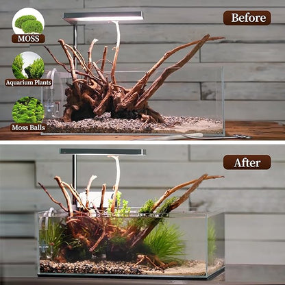 majoywoo Natural Driftwood for Aquarium Decor Fish Tank Decorations, Assorted Spider Wood Branch 7-11" 3 Pcs, Reptile Decor Majoywoo