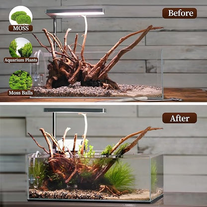 majoywoo Natural Driftwood for Aquarium Decor Fish Tank Decorations, Assorted Spider Wood Branch 7-11" 3 Pcs, Reptile Decor Majoywoo