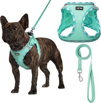 AMTOR Small Dog Harness with Leash Set, No Escape Easy Walk Puppy Harnesses for Training Walking, Step-in Reflective Soft Dogs Vest for XS S Medium Extra-Small Large Sized Dog(Green,XXXS) AMTOR