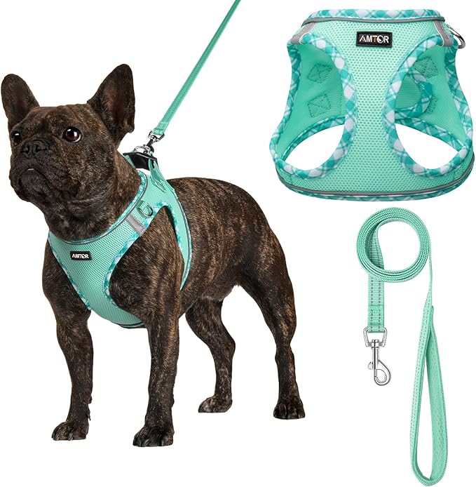 AMTOR Small Dog Harness with Leash Set, No Escape Easy Walk Puppy Harnesses for Training Walking, Step-in Reflective Soft Dogs Vest for XS S Medium Extra-Small Large Sized Dog(Green,XXS) AMTOR