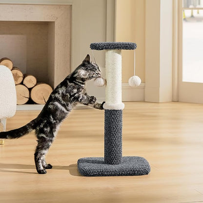 Lesure Cat Scratching Post for Indoor Cats - Highly Resistant Carpet Scratch Posts, Premium Sisal Rope Scratch Posts for Kittens, Sturdy Small Cat Scratch Pole with Hanging Ball, Grey(22.5 inch) - PAWPICO